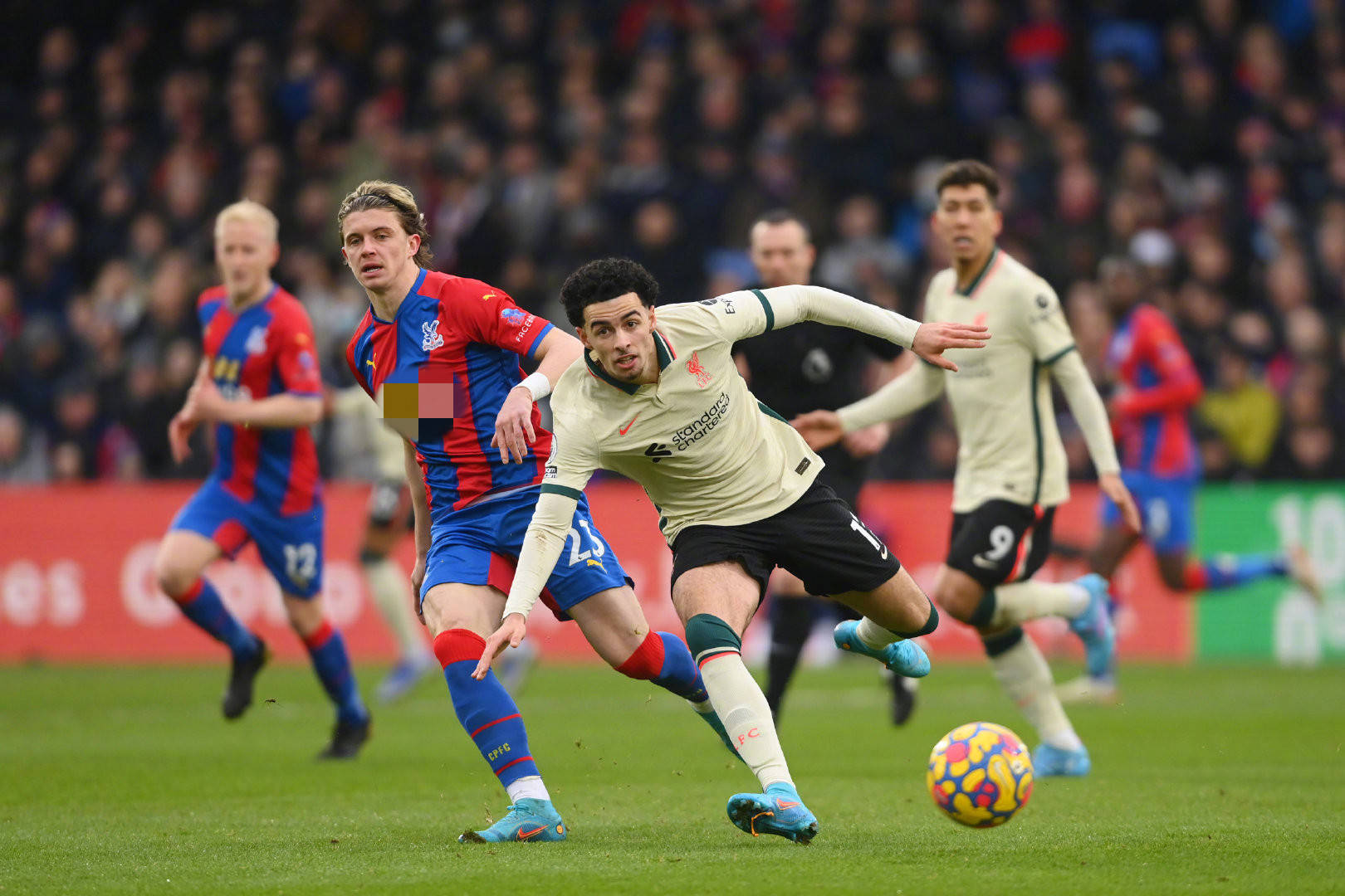 克雷桑复出 克雷桑复出